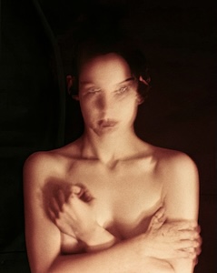 Image from the series Ilex Black